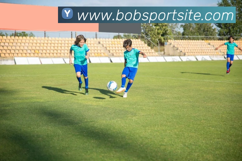 BOB体育APP 封面图