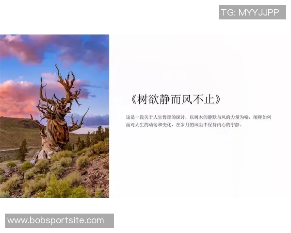 欲望无止境难以满足的生活哲学探讨与反思